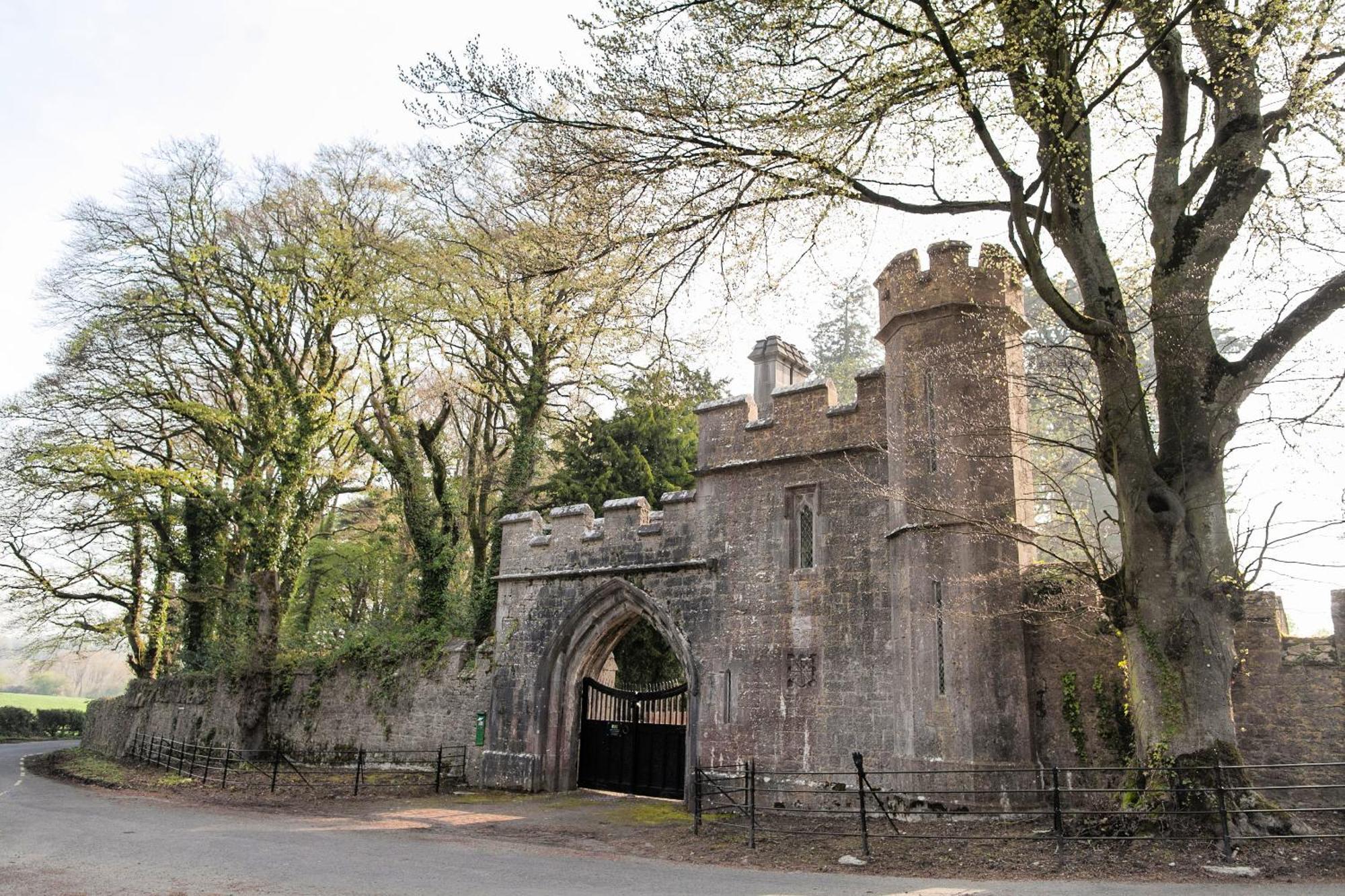 Anne'S Grove Miniature Castle Villa Castletownroche Luaran gambar