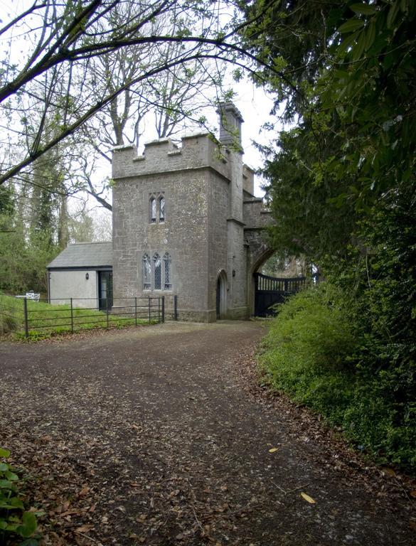Anne'S Grove Miniature Castle Villa Castletownroche Bilik gambar